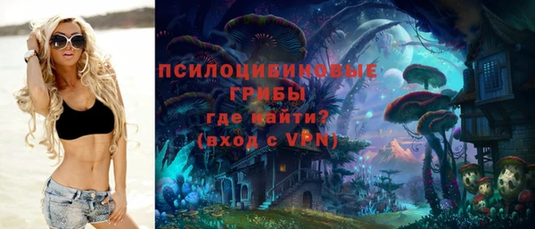спиды Абаза