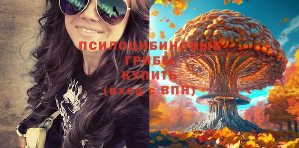 прущие крисы Нефтекумск